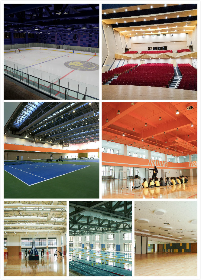 师生比1比5！义务教育教学不盈利！这所国际学校靠什么发展下去？