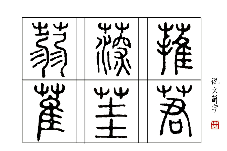 荻的含义 _飞翔号