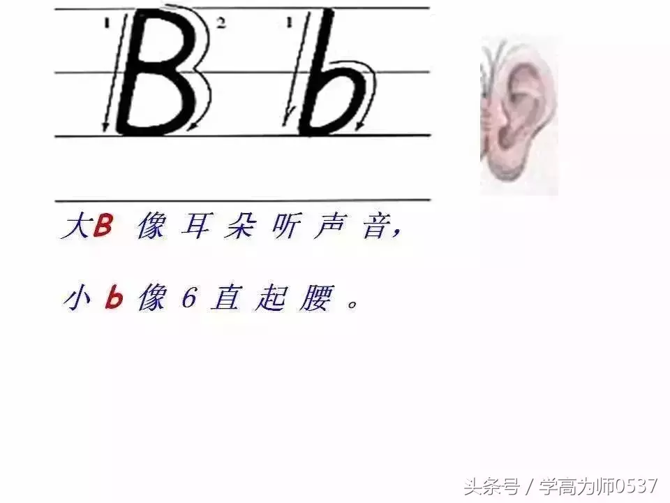 学英语:26个英文字母书写规范详解,英语基础必备