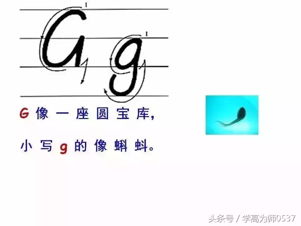 学英语:26个英文字母书写规范详解,英语基础必备