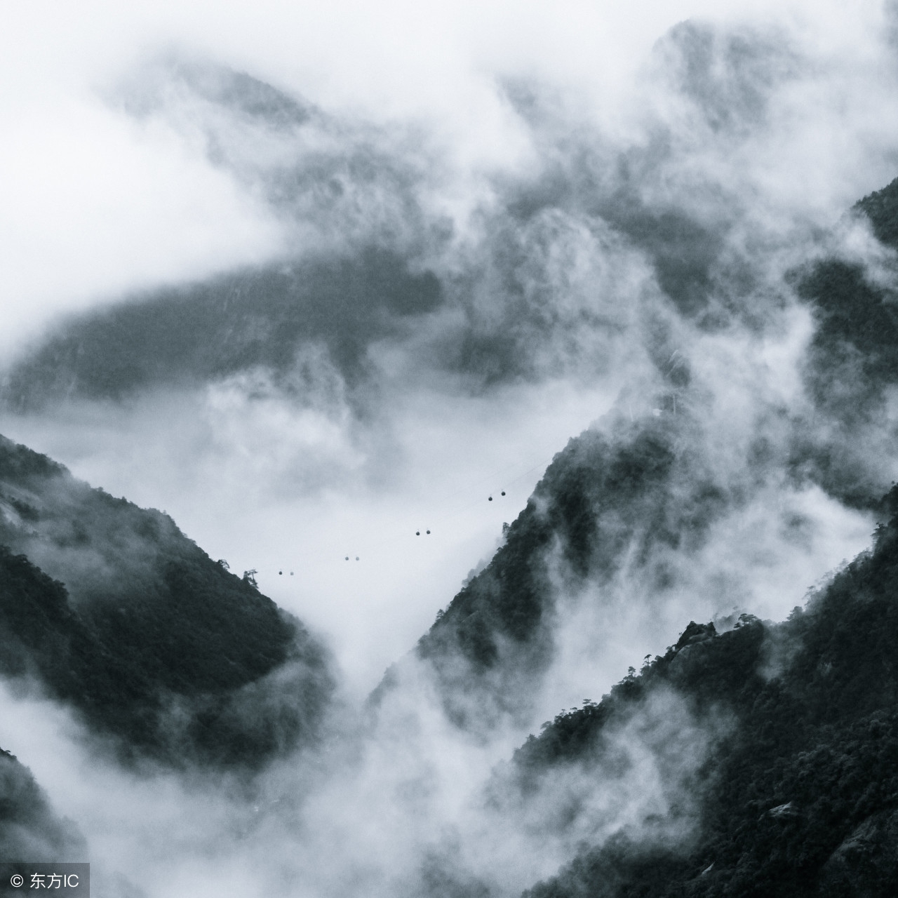 哲学考研｜北京大学/山东大学考研专业目录及考试内容！