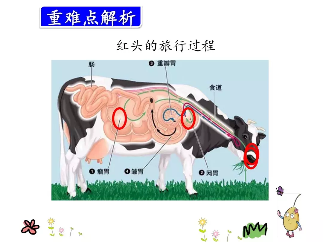 悄悄地的近义词（悄悄地的近义词语）