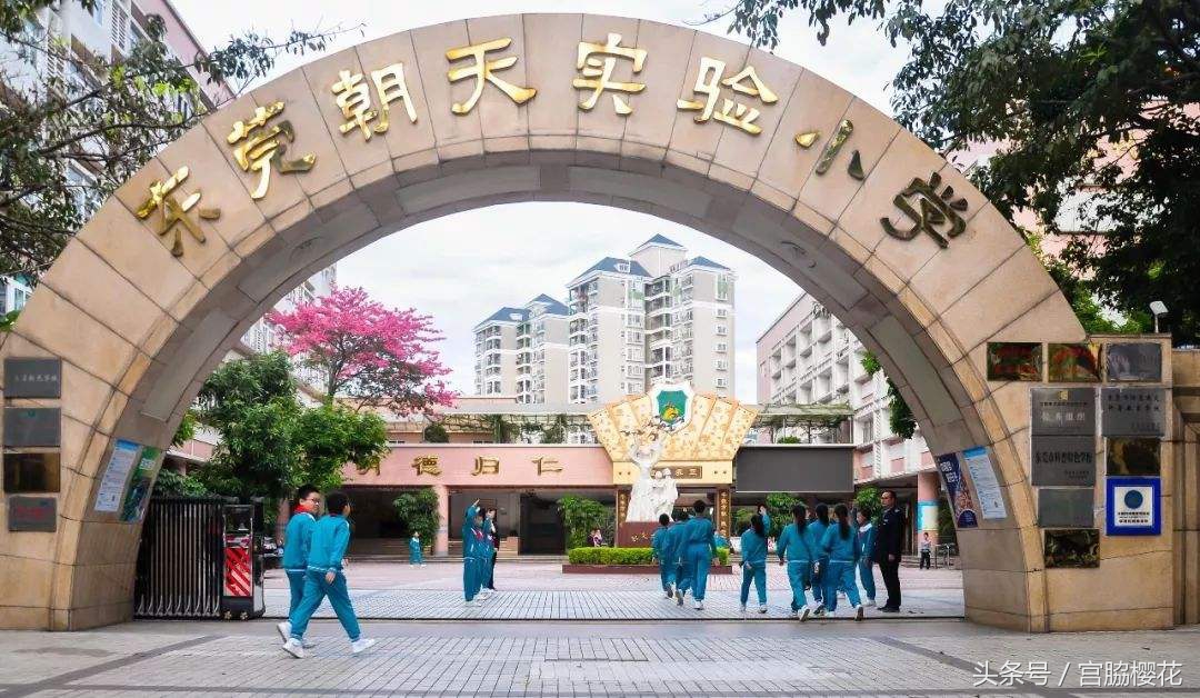 东莞最热门的10所民办学校，华师附学费竟然最贵