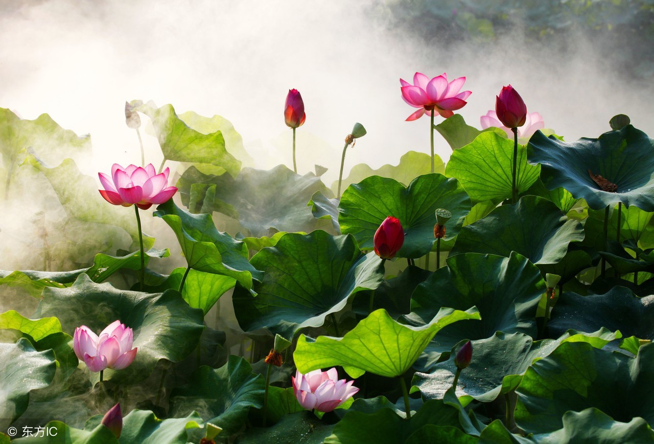 哪首诗词,最能代表春夏秋冬四季风景