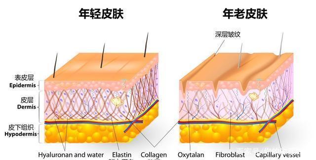 教你几个补水抗皱的好方法，助你减少眼部、额头、嘴角的皱纹！