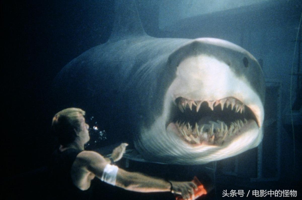 鲨鱼怪物之一《深海狂鲨》变异大鲨鱼评析，世界上最聪明的鲨鱼？