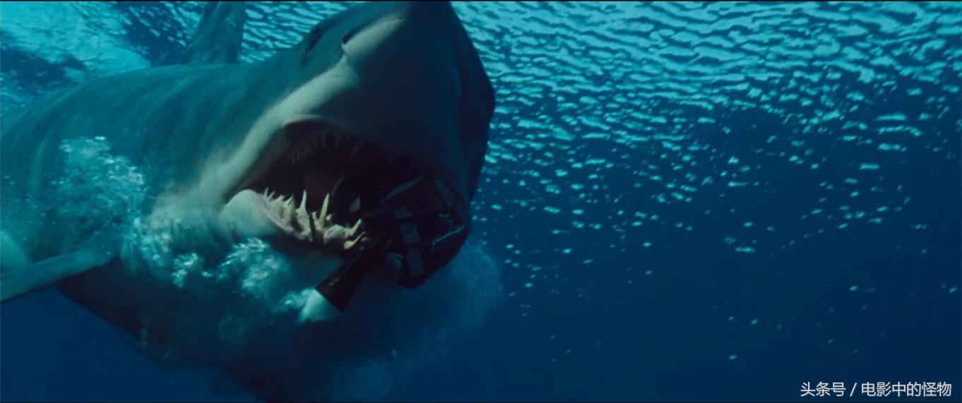 深海狂鲨电影大白鲨图片