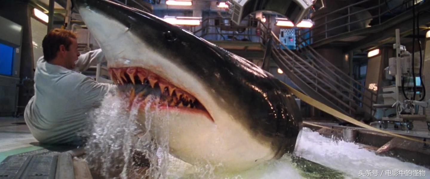 鲨鱼怪物之一《深海狂鲨》变异大鲨鱼评析,世界上最聪明的鲨鱼?