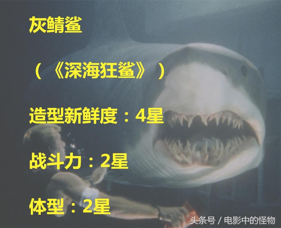 鲨鱼怪物之一《深海狂鲨》变异大鲨鱼评析，世界上最聪明的鲨鱼？