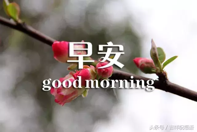 9.13，秋天是收获的季节，接到我的秋季祝福，祝福你收获快乐