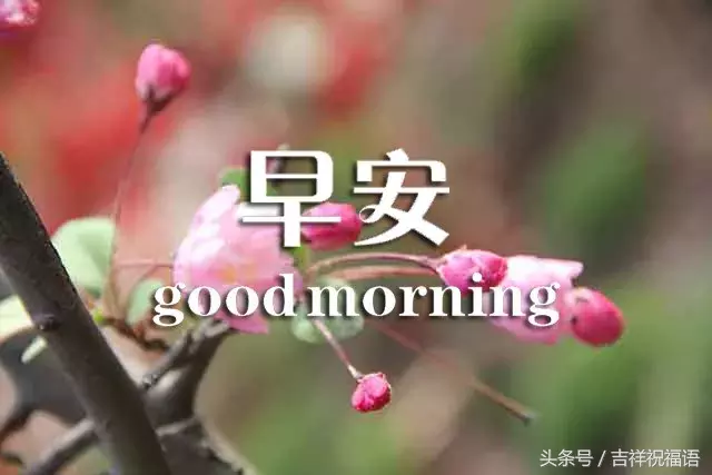 9.13，秋天是收获的季节，接到我的秋季祝福，祝福你收获快乐