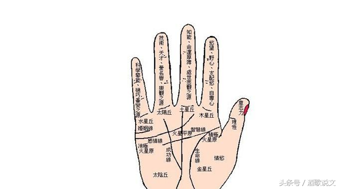 手相纹理看姻缘_达一风水网