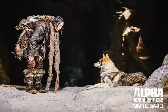 《阿尔法：狼伴归途》——少年与狼的一场史前历险