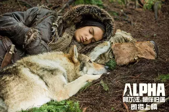 《阿尔法：狼伴归途》——少年与狼的一场史前历险