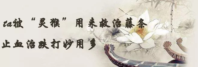 (fei)ôóԼͥѲ˵Ĺ(gong)Чüʳ÷-(di)11ͼƬ-Ʊ֪ʶѧϰ(wang)