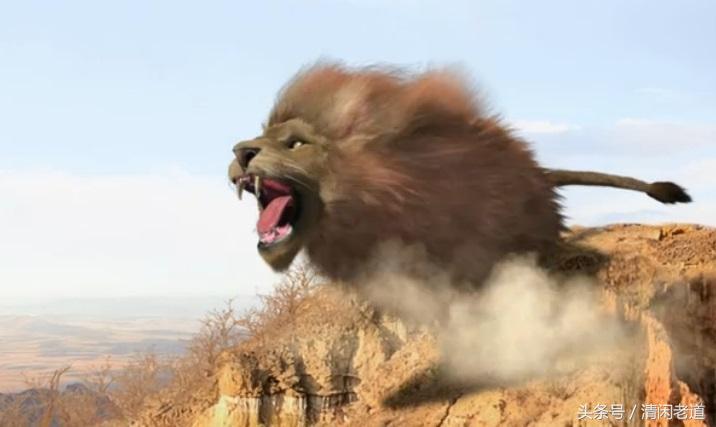 世界公认的十大传奇狮王（十大传奇狮子王）-第8张图片-华展网