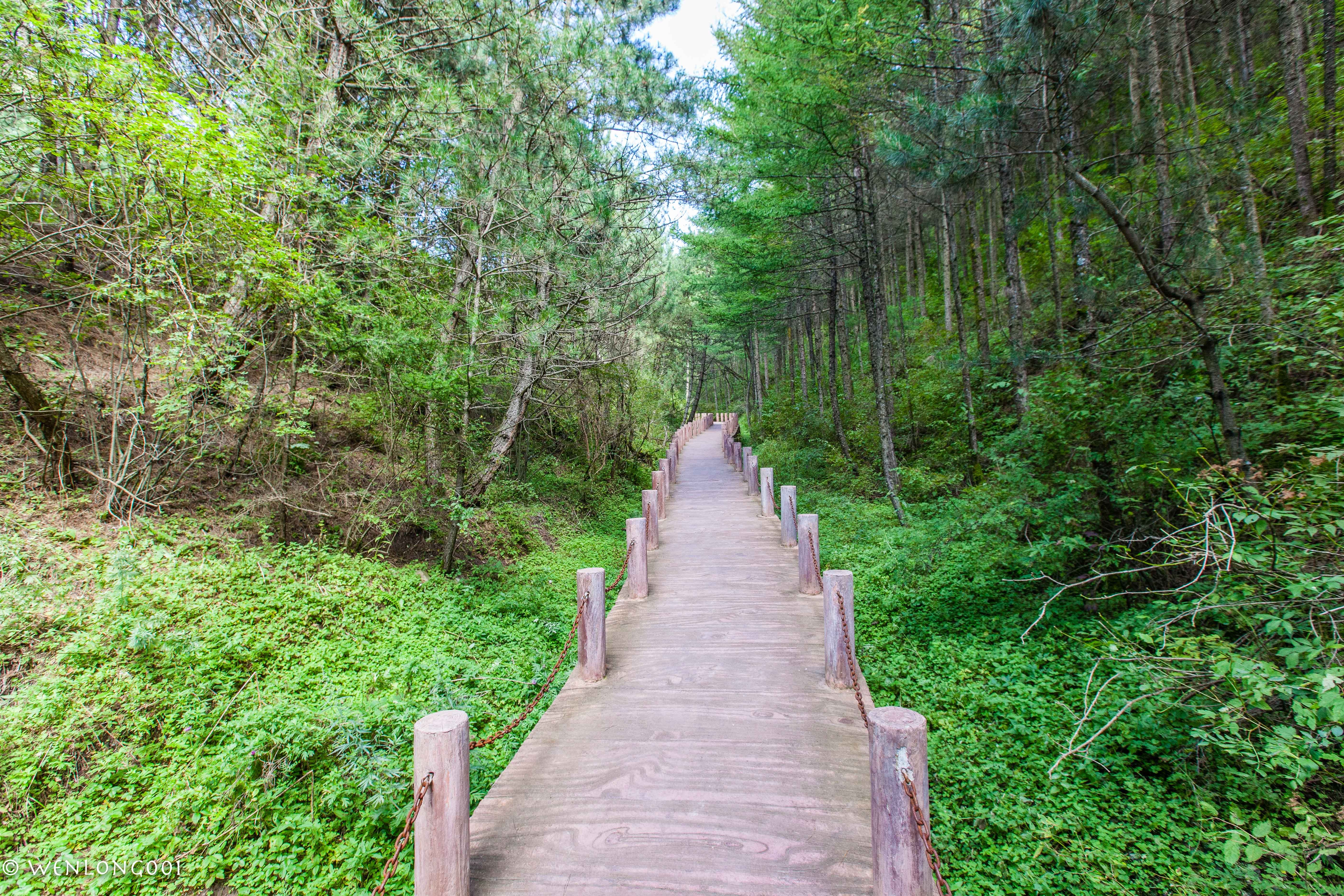 盘山小路图片