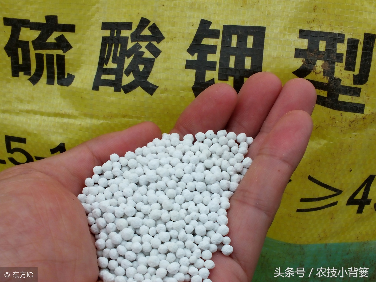 长期保存菌种的方法（长期保存菌种的方法是 甘油馆藏 短期保存菌种的）-大连信息网