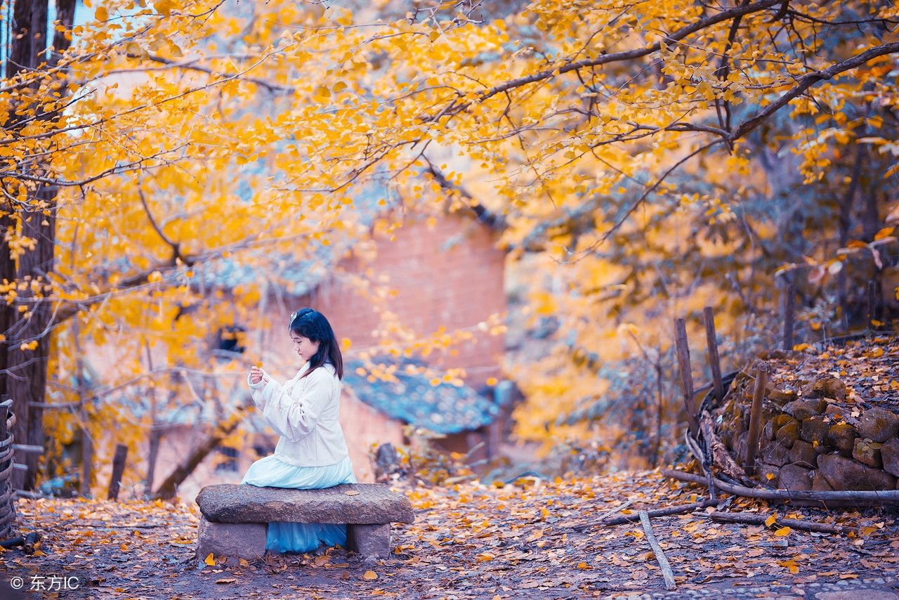 最爱宋词：李清照最美词88首，从少女到古稀的一生！学习