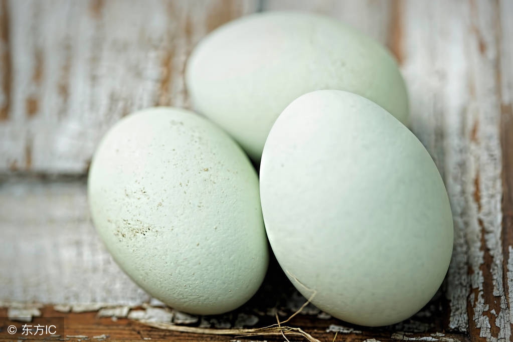 绿色鸡蛋是什么蛋（关于绿壳鸡蛋的那些秘密）