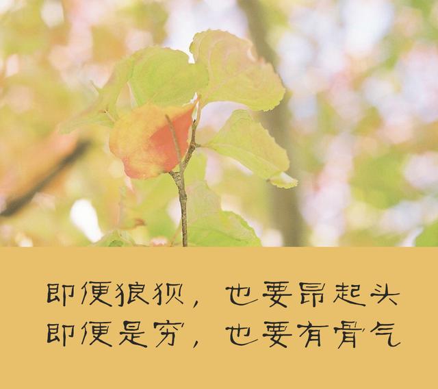 最穷无非讨饭，不死终会出头，被人看不起的时候，记住三句话