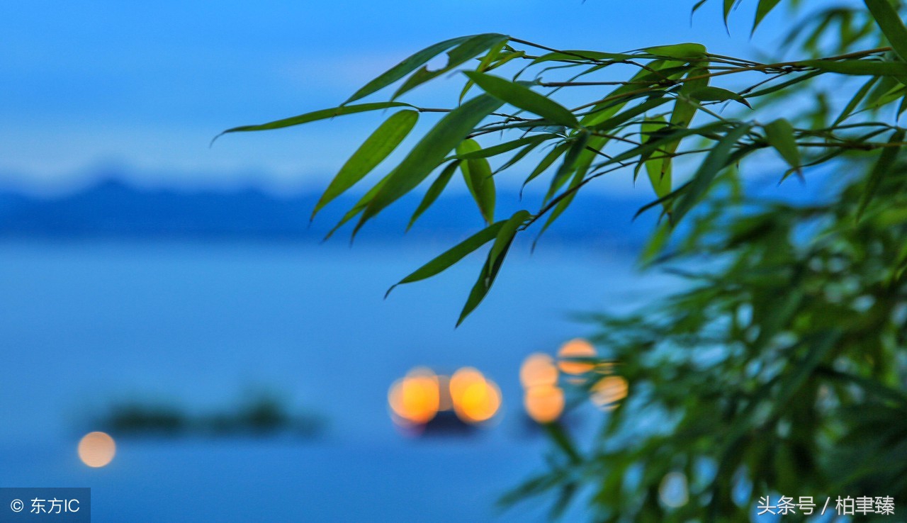 人心静的句子静下心来感受的优美句子