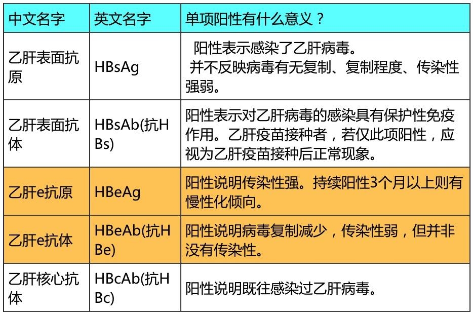 乙肝两对半各代表什么意思？有没有传染性，是否需要抗病毒治疗？