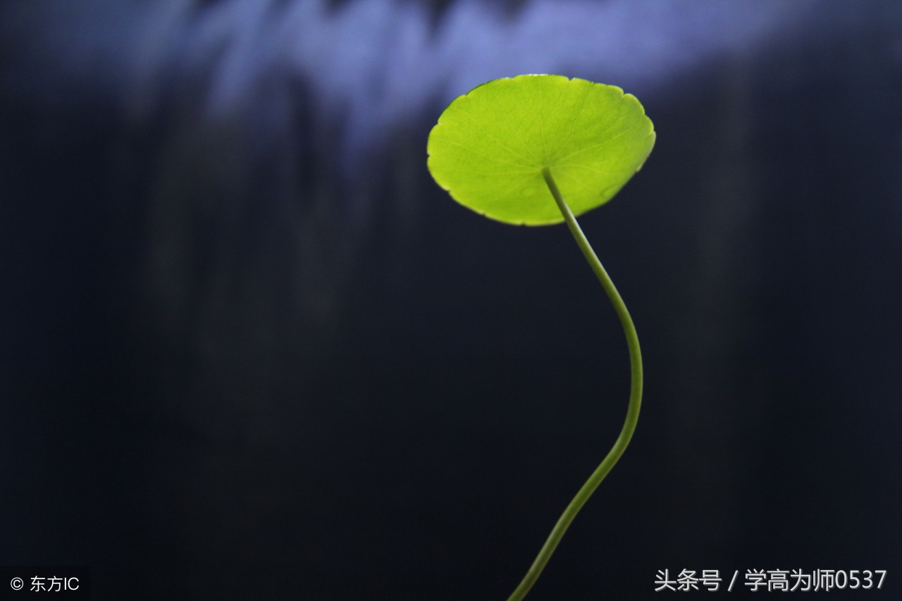 一年级造句含练习（重点整理）专题训练效果好