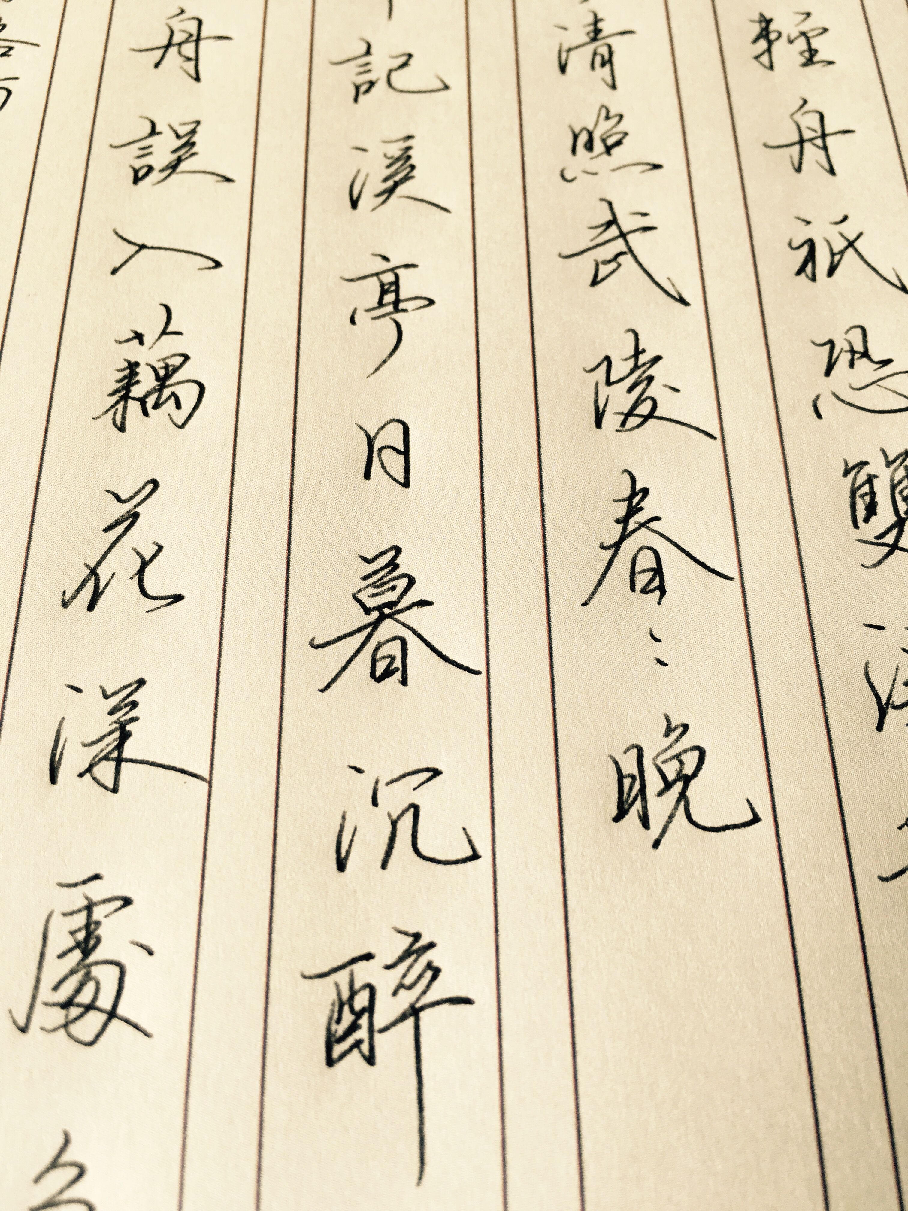 钢笔行书:李清照词两首《武陵春》物是人非事事休,欲语泪先流