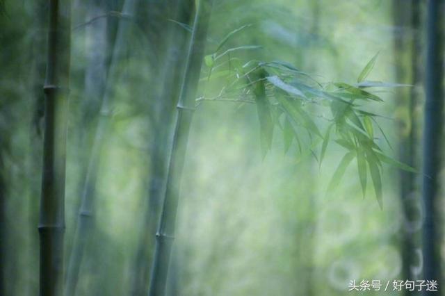 坚强到让人心疼的语录，句句戳心，写给傻傻的自己！