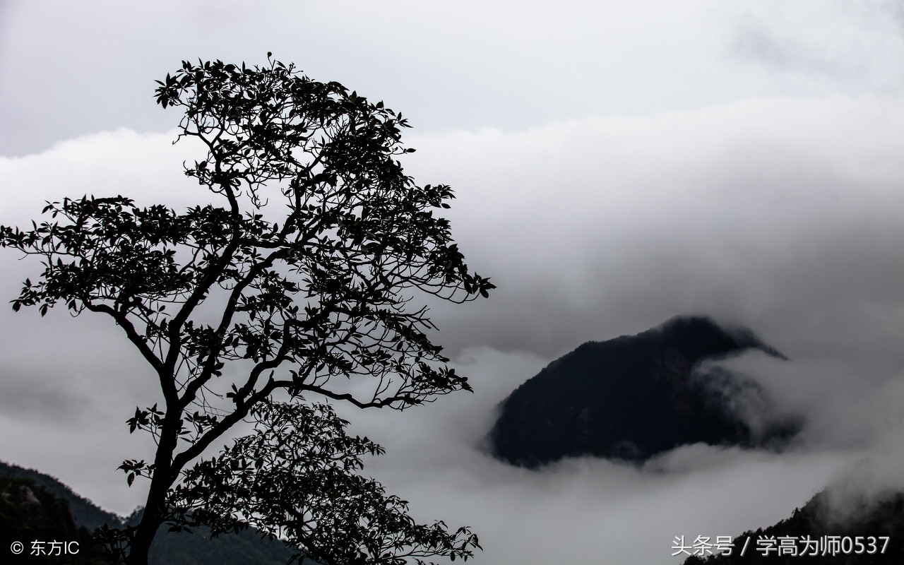 二年级语文基础精选练习（近反义词、多音字、句子、字词）附答案