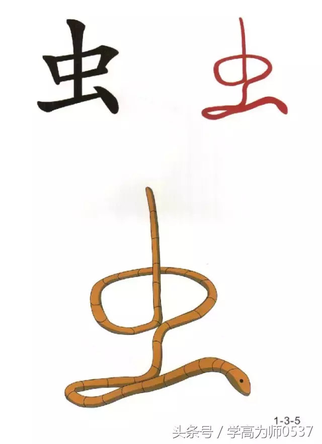 巧用識字圖,教低年級孩子快速識字(象形,會意字)