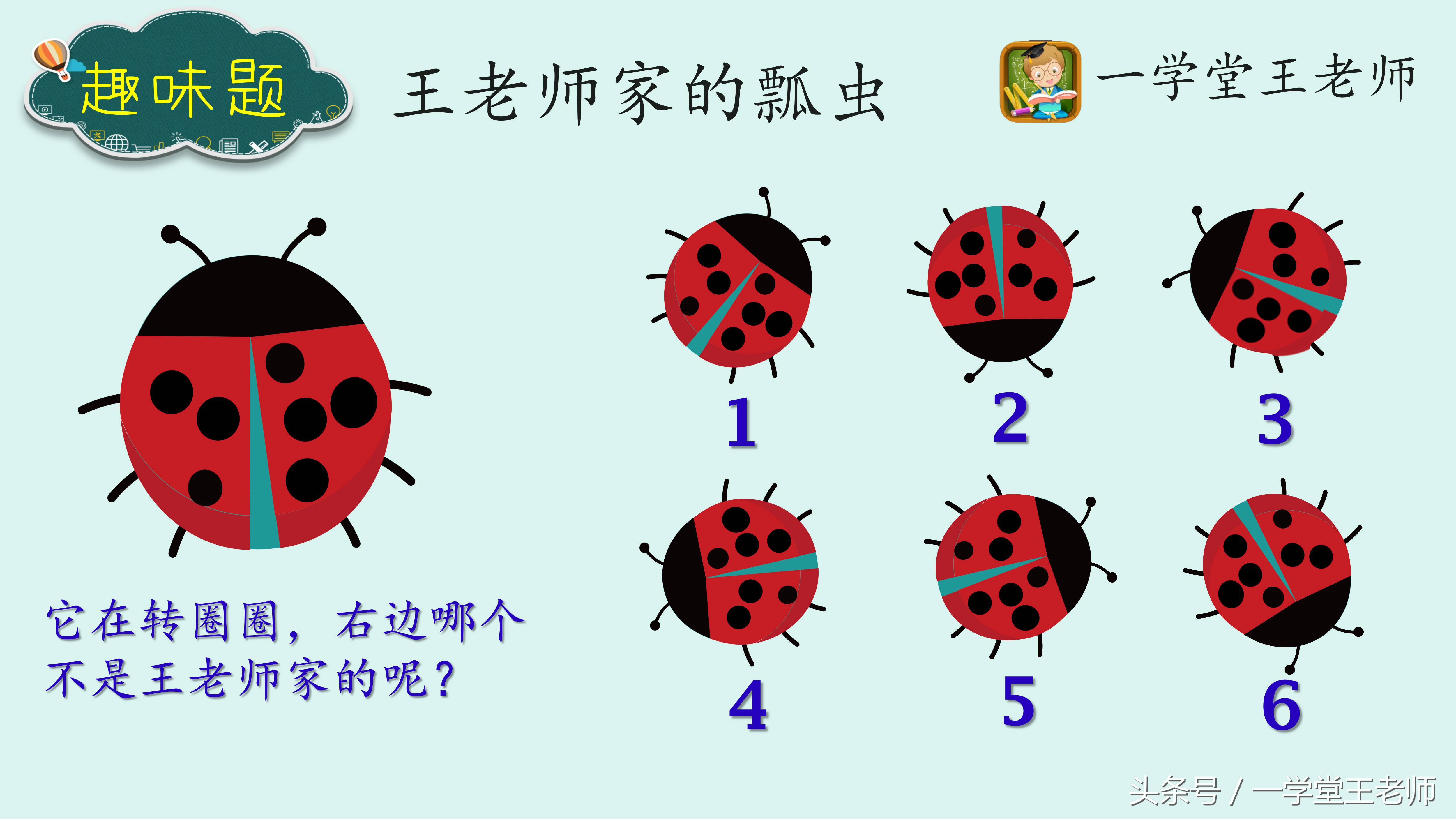 老师的头条号学习更多好玩的数学知识更多题目欢迎关注专栏~趣味解题