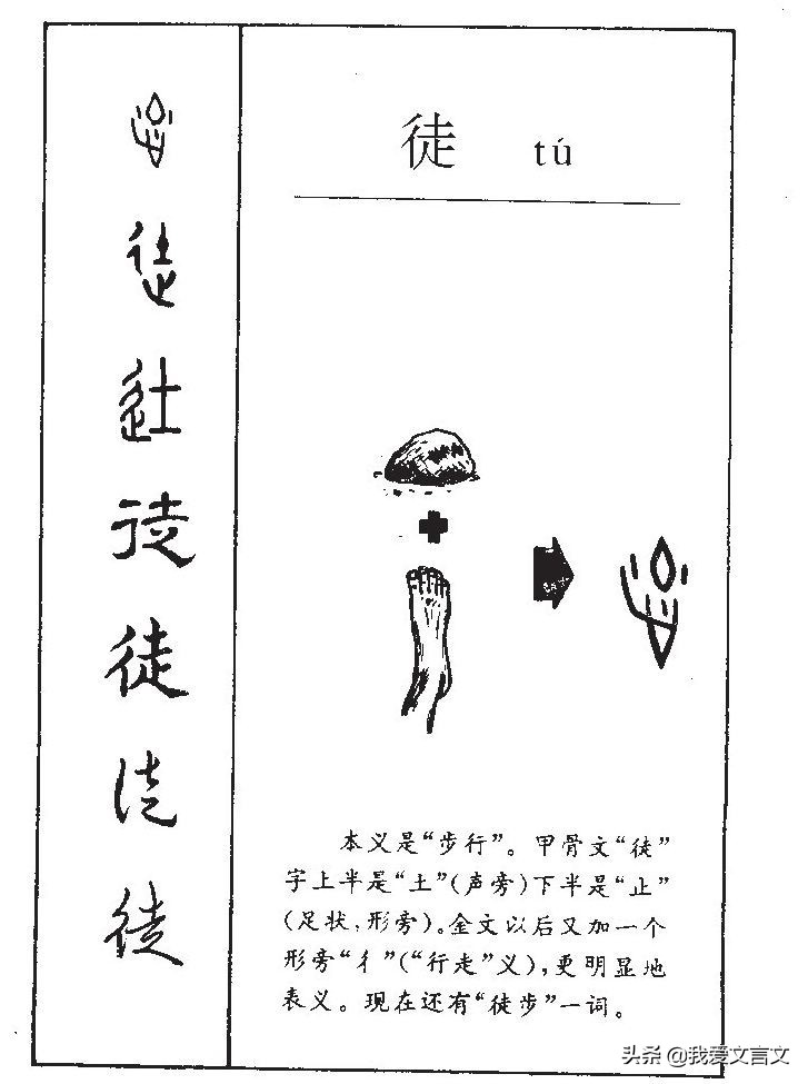 经典文言文赏析 | 斫树取果