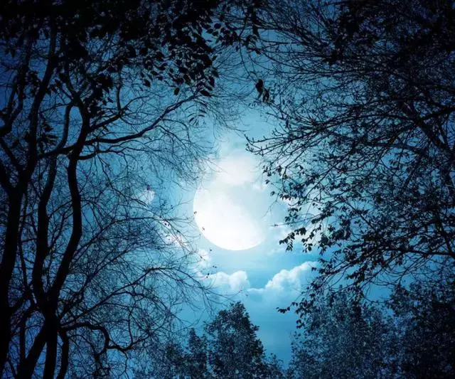 中秋临近，洒落在古诗词中的月光