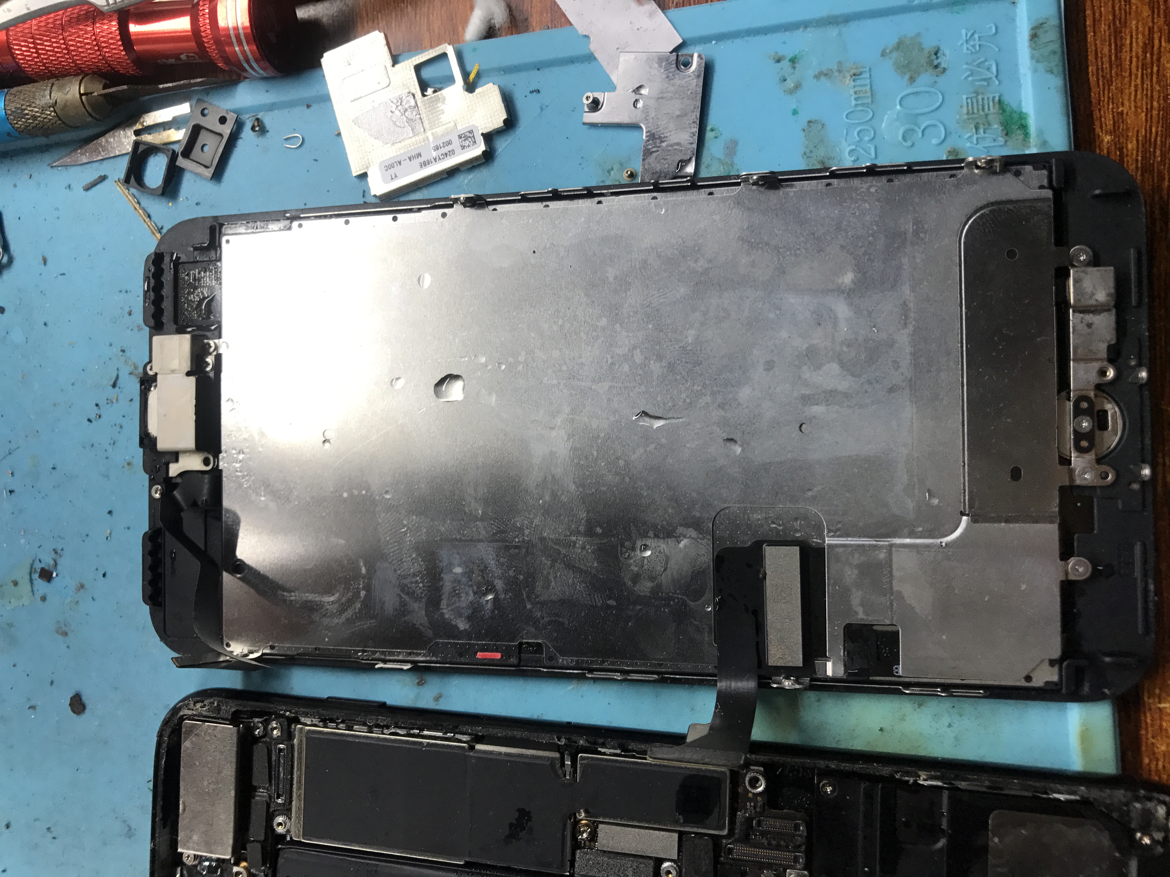 手机进水了怎么处理 手机进水能自然干吗-春风号,忽如一夜春风来千树