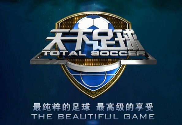 央视为什么不转播法甲（CCTV失去欧洲足球赛事版权，可不用听闹人的解说了，但是得付费了）