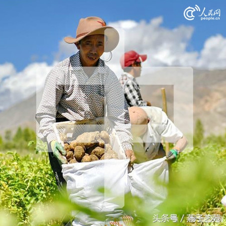 「今天，为亿万中国农民转发！」“春种一粒粟，秋收万颗子