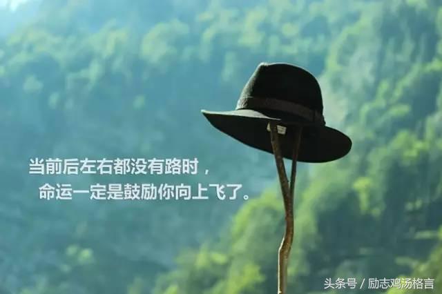 回头,有一路的故事