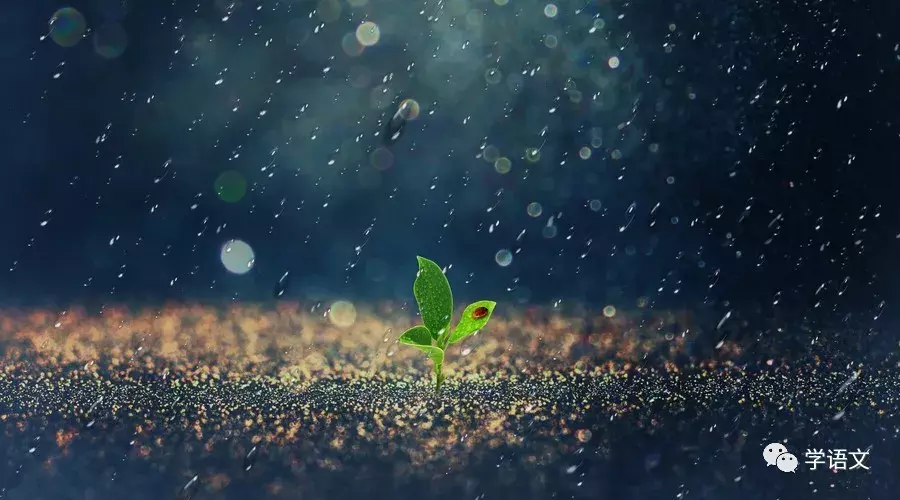 中国最美二十九首现当代诗