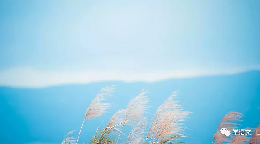 中国最美二十九首现当代诗