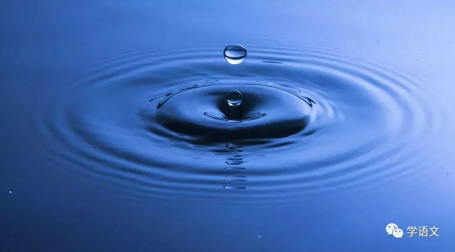 中国最美二十九首现当代诗