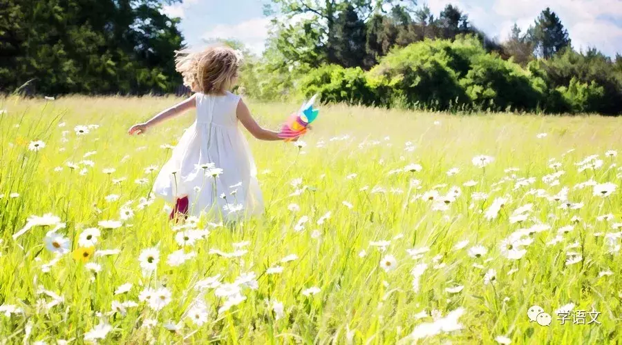 中国最美二十九首现当代诗