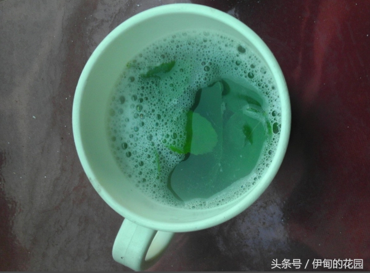 简单漂亮！用洗衣粉制作叶脉书签