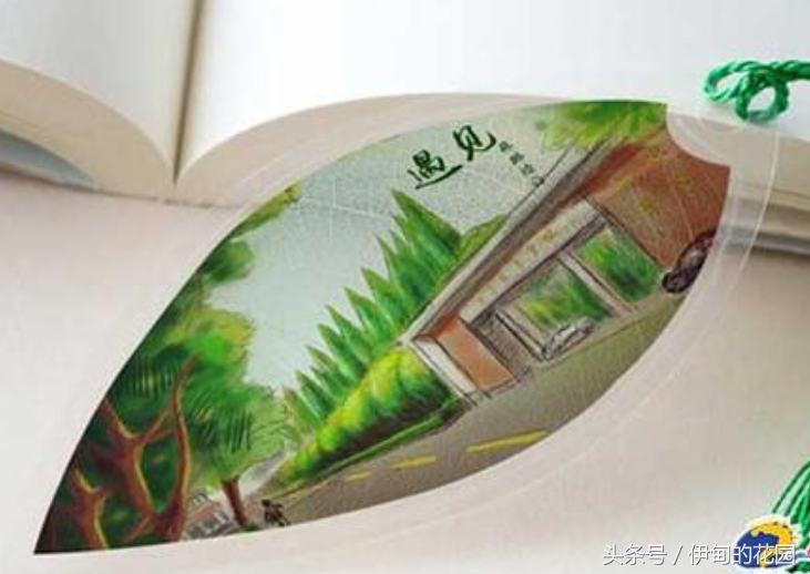 简单漂亮！用洗衣粉制作叶脉书签