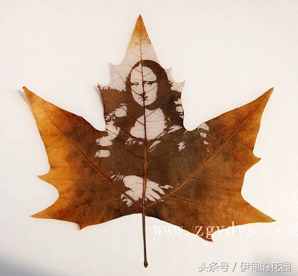 简单漂亮！用洗衣粉制作叶脉书签