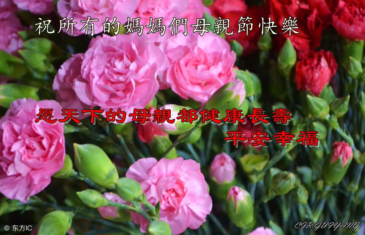 关于英语的祝福语「精选」
