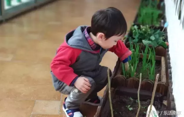 南京各区土豪幼儿园排行榜，上不起我就看看！