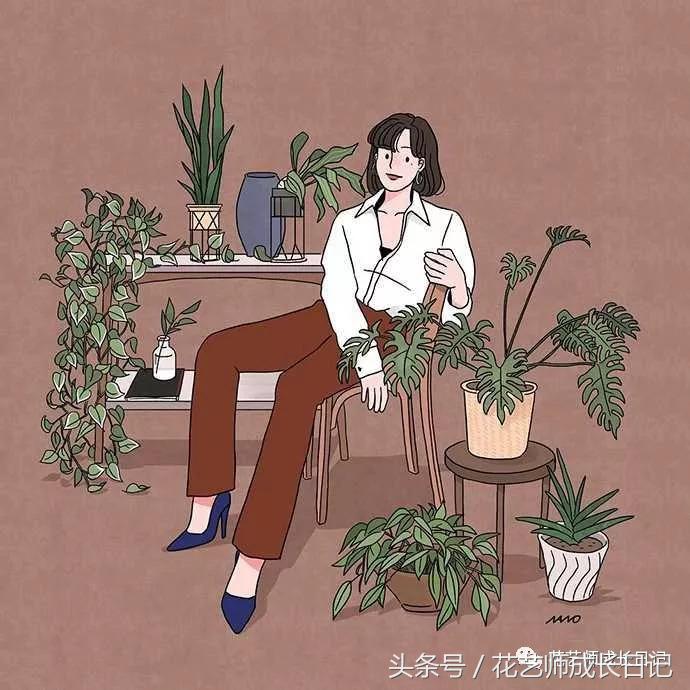 洋兰花的寓意是什么（洋兰新手养护秘诀收藏夹必备）