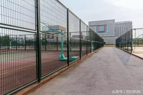 职高和高职分不清？大学｜学院｜高职｜职高｜职校｜技校的区别是什么